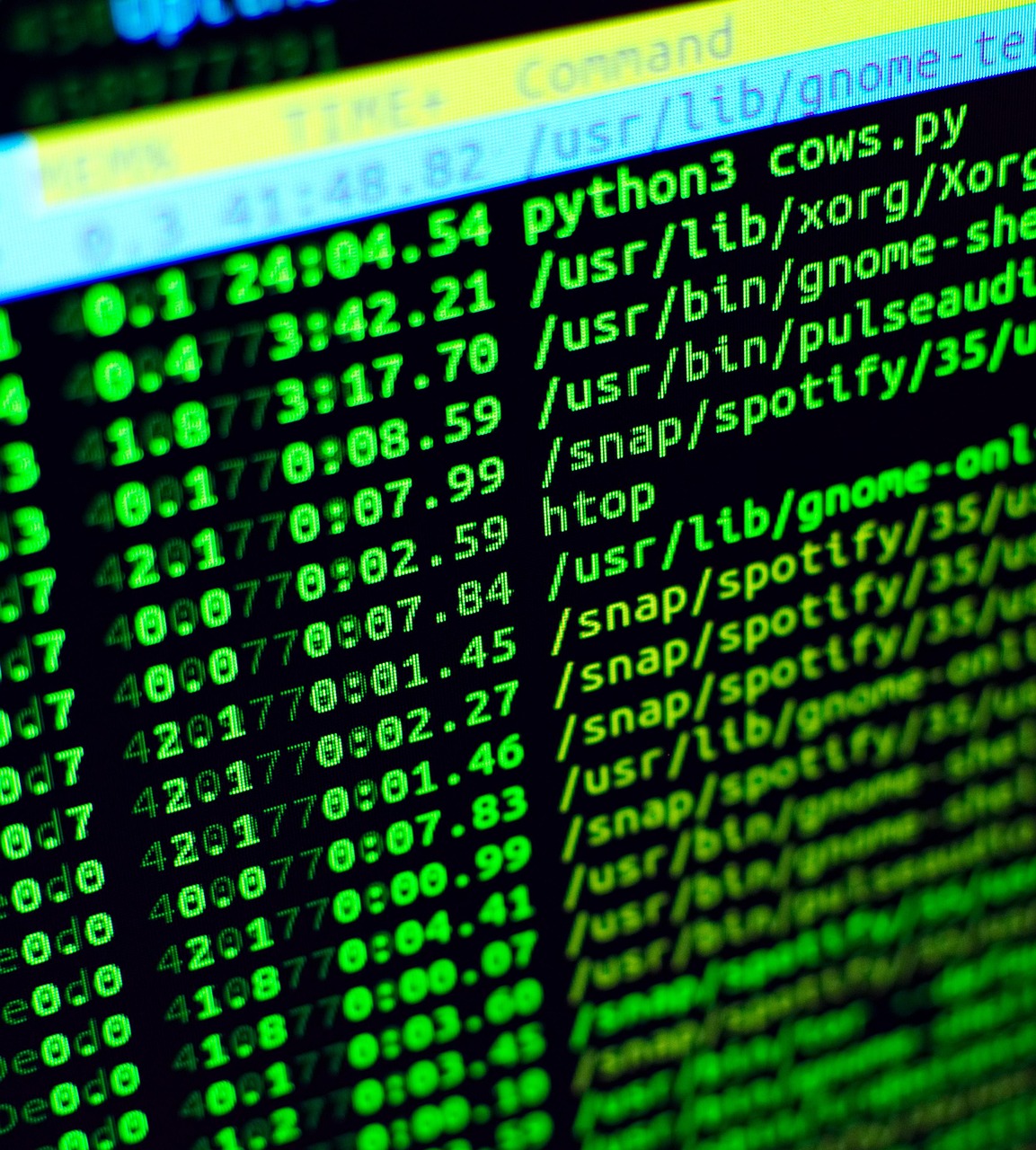 How to Automate Everyday Tasks with Python